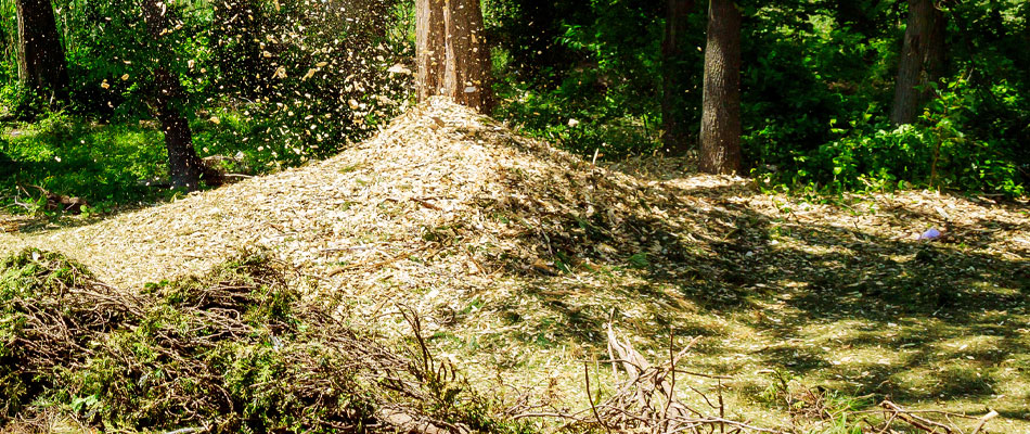 Mulch on the ground after forestry mulching services at a property located in Houma.