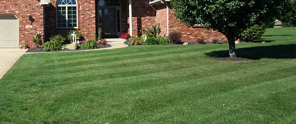 Perfectly mowed lawn at a home in Raceland, LA