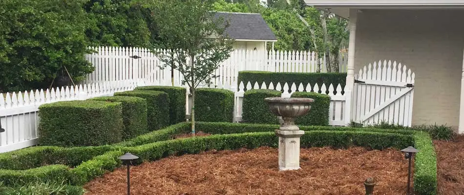 Professionally trimmed shrubs and bushes at a home in Raceland, LA.