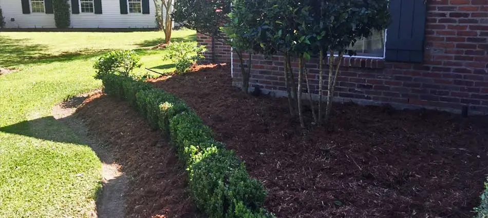Spring yard cleanup services including landscape trimming and new mulch at a home in Raceland, LA