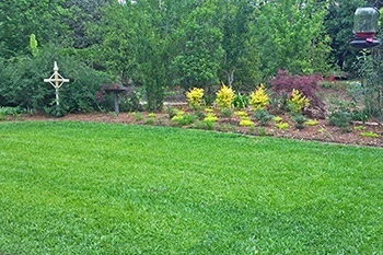 Thibodaux home with beautiful green grass that was achieved through our lawn care services.